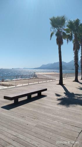 Apartamento Vega Suites