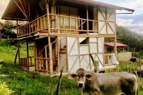 Caba�a Independiente En Granja Agroecologica