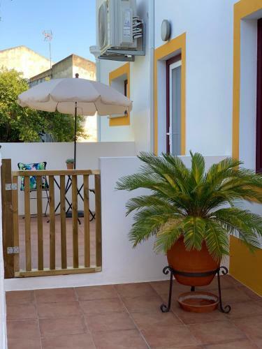 Alter Village Apartments