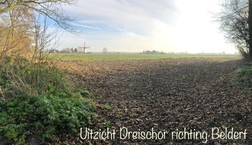 Bed & Breakfast De Drei Schorre