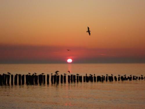 Apartamento Exclusief Vakantieappartement Domburg Do23