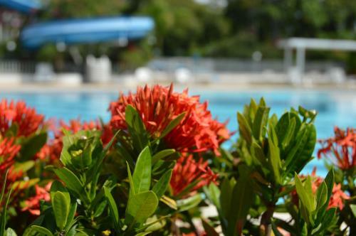 Apartasol Santa Fe De Antioquia