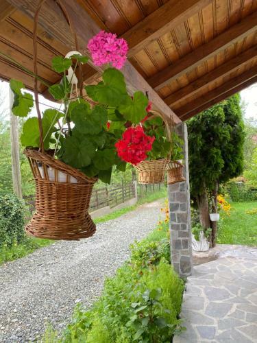 Hostal Vila Sorina
