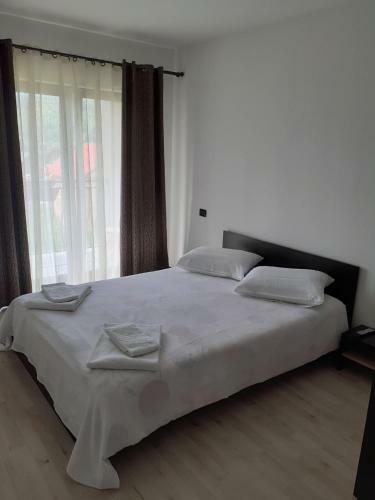 Villa Vila Puiu Borsa Mm