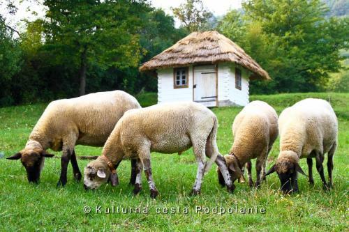 Lodge Drevenica Pod Orechom