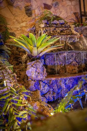 Or�genes Arcabuco Hotel Boutique