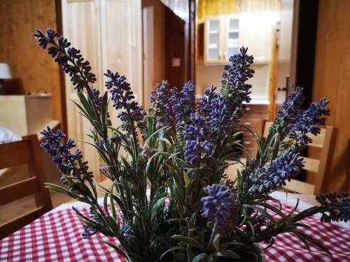 Apartm�ny N�zke Tatry - Krp�?ovo