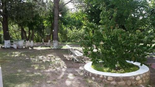 Apartamento Aires Serranos