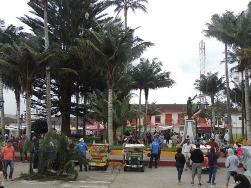 The Palms Apartamento Por Meses