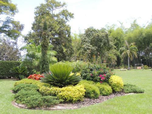 The Palms Apartamento Por Meses
