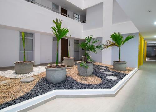 Acogedor Apartamento En El Norte de Armenia, Apto 710