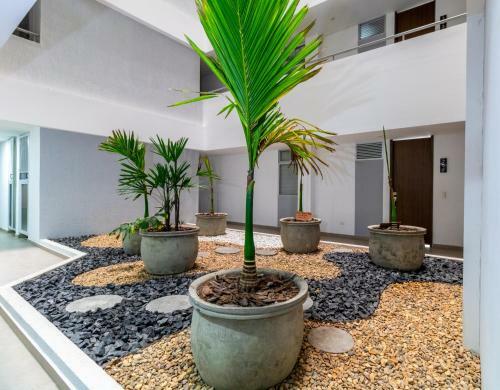 Acogedor Apartamento En El Norte de Armenia- 1303