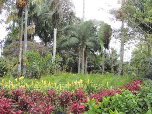 Apartamento The Palms Por Meses