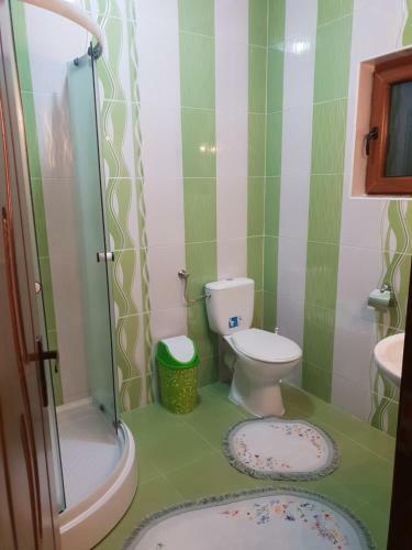 Hostal Pensiunea Ancuta Din Botiza