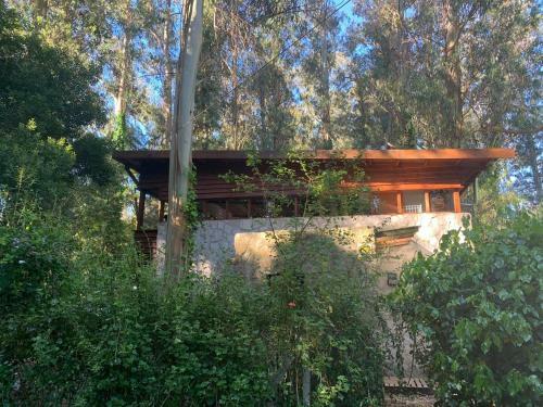 Casa En El Bosque Peralta Ramos Para Vacacionar