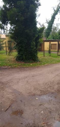 Casa En El Bosque Peralta Ramos Para Vacacionar