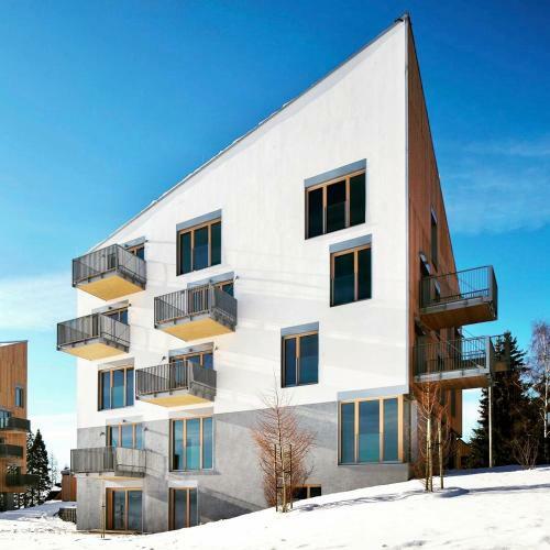 Ski Apartment Hillside