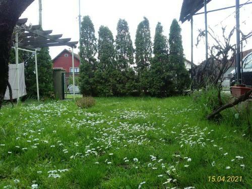 Apartamento Ku?a Za Odmor Jelena