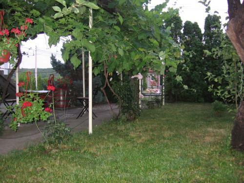 Apartamento Ku?a Za Odmor Jelena
