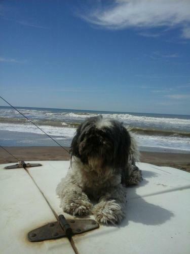 Apartamento Necochea Frente Al Mar