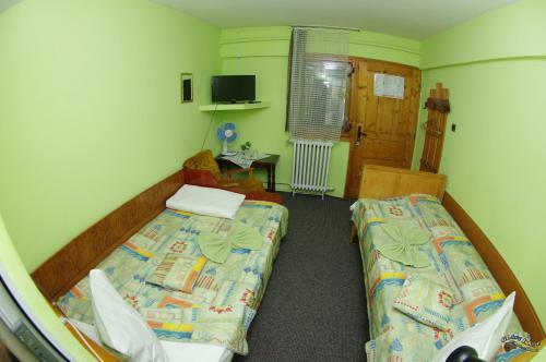 Hostal Pensiunea Irina