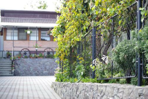 Hostal Pensiunea Irina