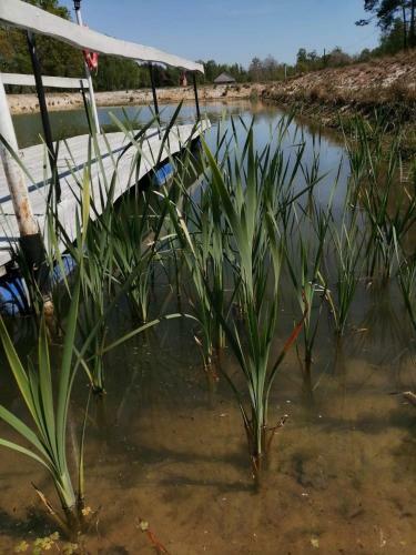 Agroturismo Zacisze U Rysia