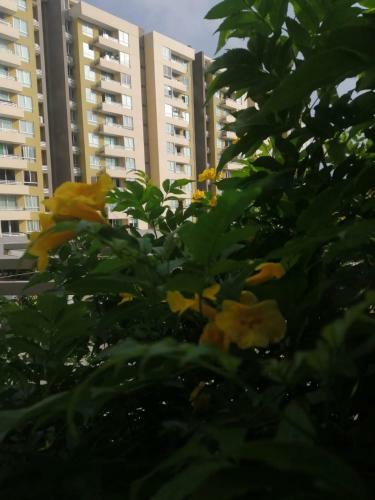Apartamento Villa Campestre