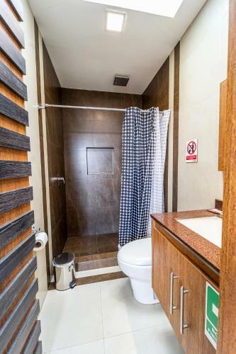 Apartamento Suite Entera Con Terrazas, Servicios E Internet