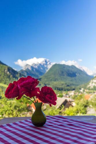 Mountain View Glamping