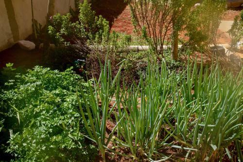 Apartamento Vila Dos Cristais