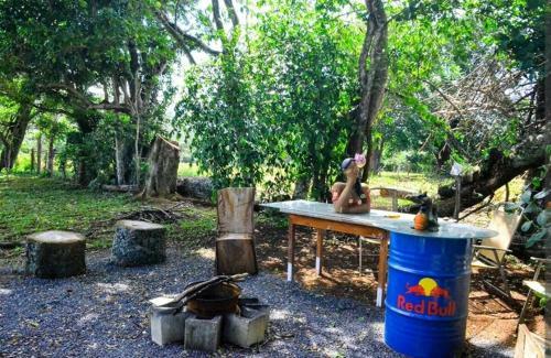 Big House Alto Paraiso - Com Wifi, M�x 09 Pessoas