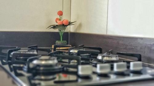 Apartamento Canto Do Para�so Flats