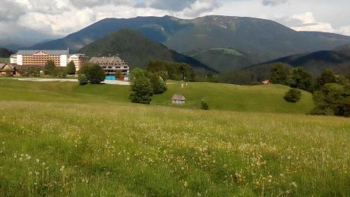 Almet, Apartm�nove ?t�dio 205