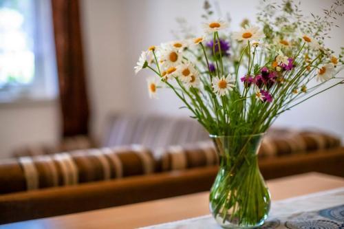 Apartm�n Skalka 11