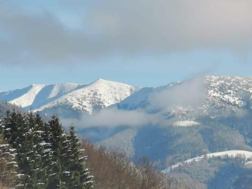 Apartm�n Plesnivec