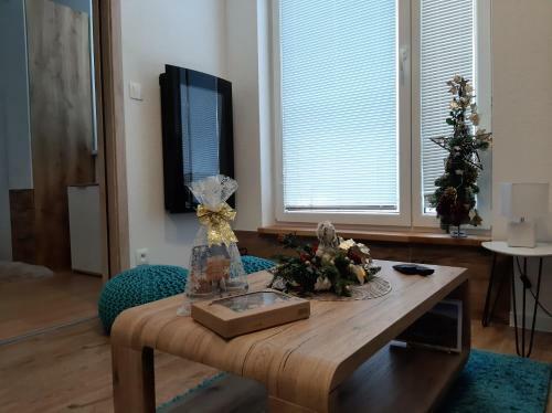 Apartm�n Plesnivec