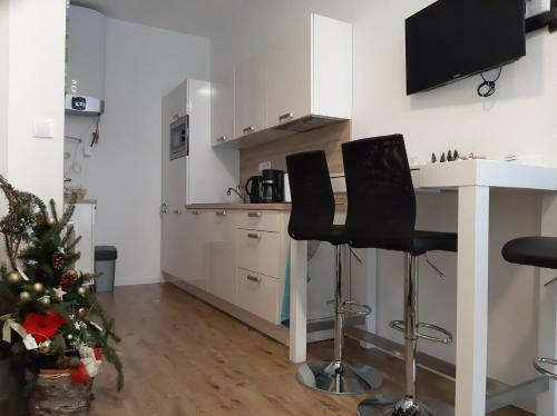 Apartm�n Plesnivec