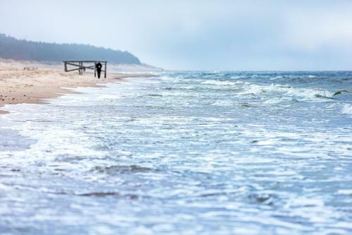 Palanga Sea View Apartment