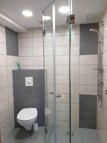 Apartamento Trivietis Butas - Vanagup?s G.