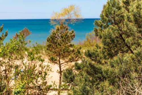 Sand Dunes Apartments