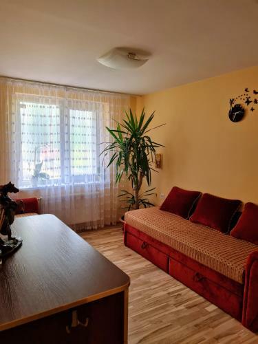 Apartamentai Pas Rasa