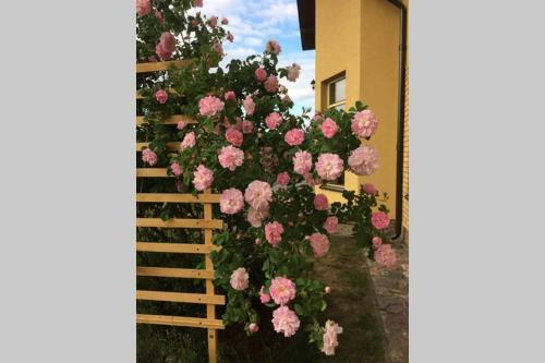 Apartamento Atostogauti Gera
