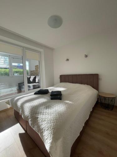 Plyt? Apartamentai31