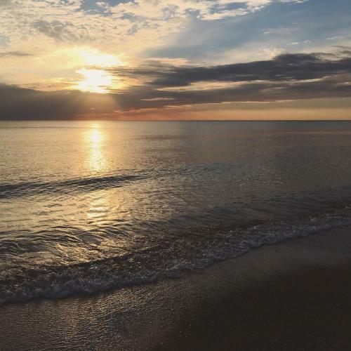 Amber-blue Palanga