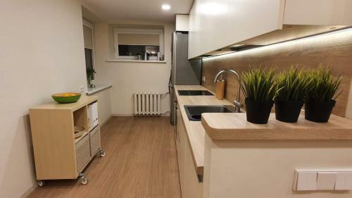 Apartamento Jaukus Butas Taikos Gatv?je