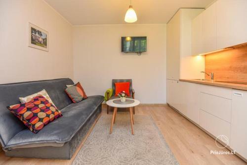 Apartamentai Miesto Centre