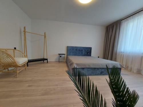 2 Bedrooms Apartment, City Center, With Balconies
