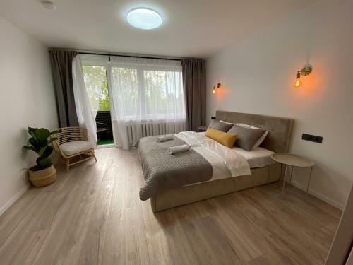 2 Bedrooms Apartment, City Center, With Balconies