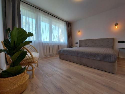 2 Bedrooms Apartment, City Center, With Balconies